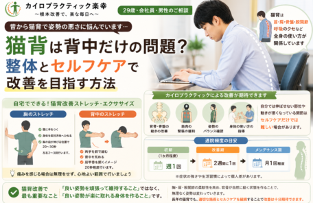 長年の猫背は背中だけの問題？整体とセルフケアで改善を目指す方法